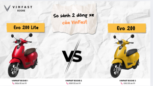 Vinfast evo200 lite