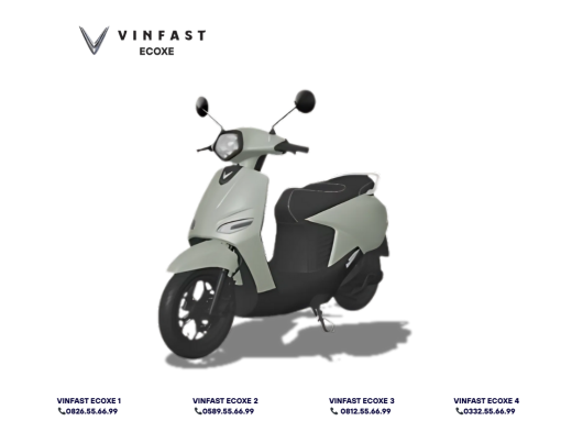 VinFast VeroX