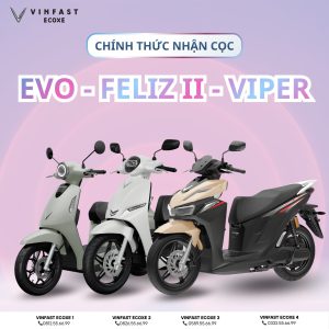 Nhận đặt cọc Feliz II & Viper: Ưu đãi tháng 3 Ecoxe