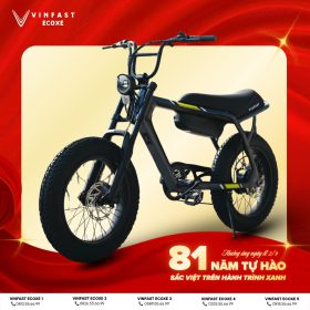 Xe đạp điện VinFast DrgnFly