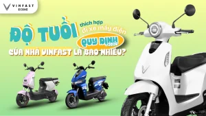 Bao Nhiêu Tuổi Được Đi Xe Máy Điện VinFast